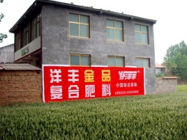 咸阳如何让墙体广告展现最大化效果